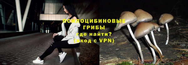 mdpv Арсеньев