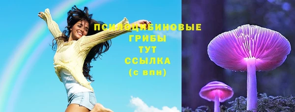 mdpv Арсеньев